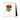 Cavallini 2026 Desk Calendar – Botanica