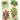 Cavallini Notebook Mini Set - House Plants