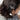Rex London Hair Bands - Spooky