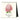 Cavallini 2026 Desk Calendar – Botanica
