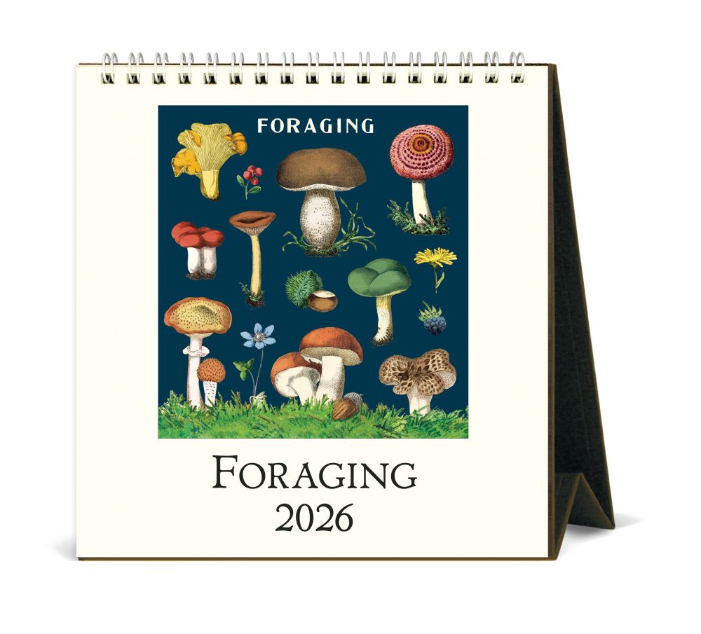 Cavallini 2026 Desk Calendar Foreaging Bobangles