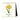 Cavallini 2027 Desk Calendar - Botanica