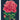 Cavallini Greeting Card - Botany