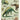 Cavallini Greeting Card - Dinosaurs