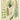 Cavallini Greeting Card - Ferns