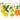 Cavallini Pouch - Citrus