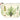 Cavallini Pouch - Ferns