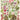 Cavallini Poster/Gift Wrap - Algae