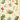 Cavallini Poster/Gift Wrap - Air Plants