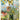 Cavallini Poster/Gift Wrap – Butterflies