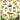Cavallini Poster/Gift Wrap - Foraging