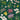Cavallini Poster/Gift Wrap - Orchid