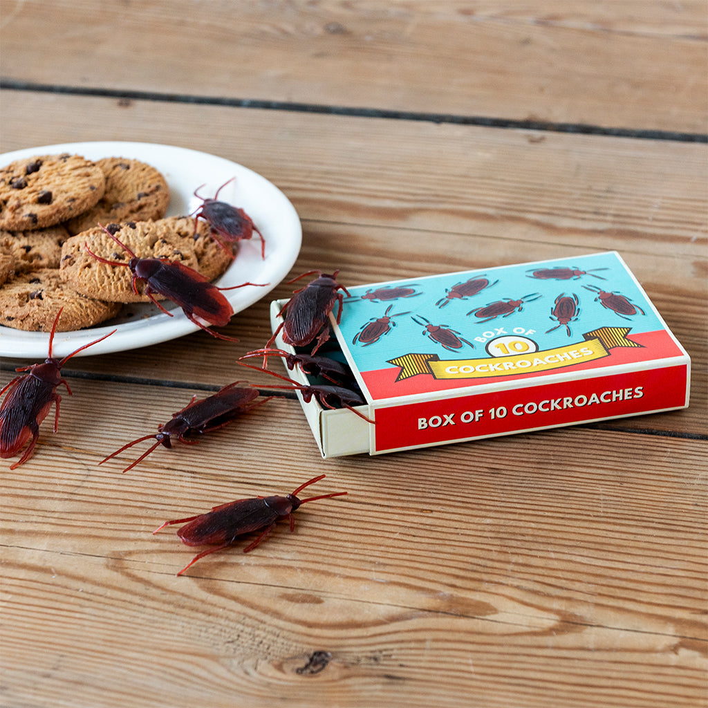 Cockroach Box Prank Rex London Classic Jokes - Cockroaches/Box of 10 – Bobangles