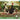 NYPC Janet Hill 1000 Pc Puzzle - Miss Moons Bike