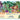 WerkShoppe 1000 Pc Puzzle – Solarium