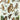 Cavallini Poster/Gift Wrap - Owl Chart