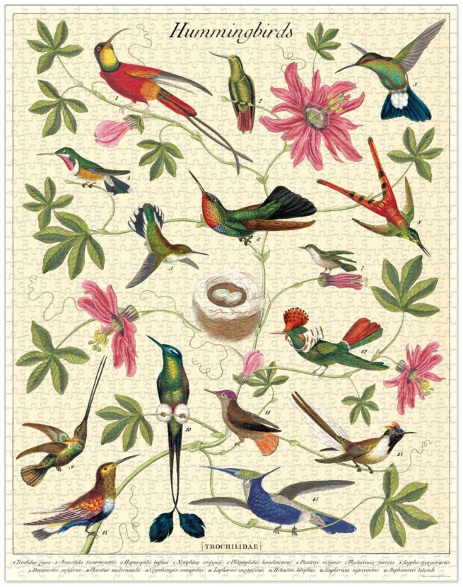 Cavallini - 1000 Pc Puzzle Hummingbird - Image 2