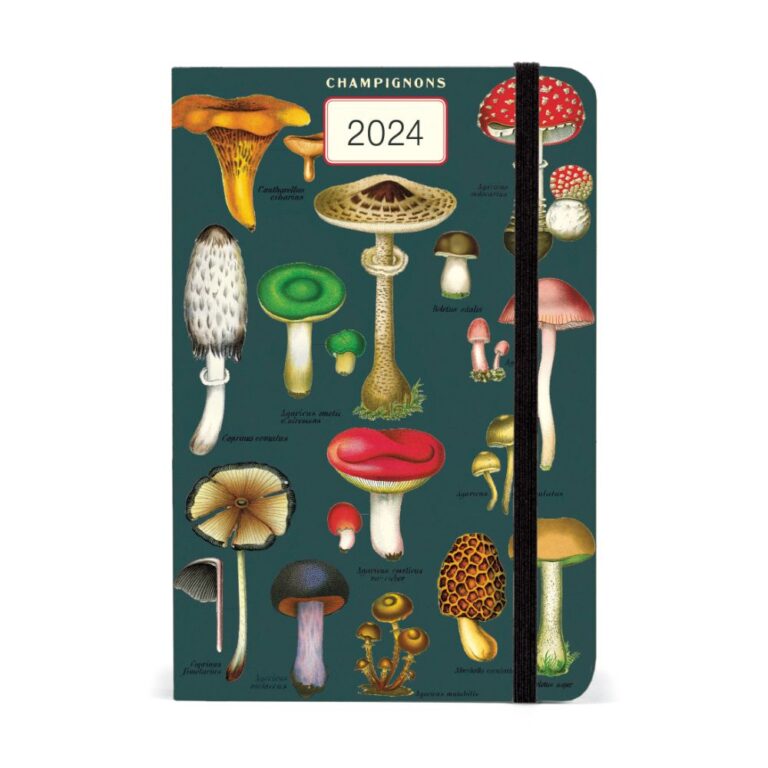 Cavallini 2024 Weekly Planner Mushrooms Bobangles
