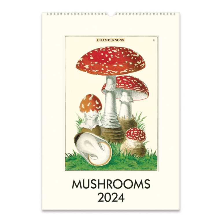 Cavallini 2024 Wall Calendar Mushrooms Bobangles