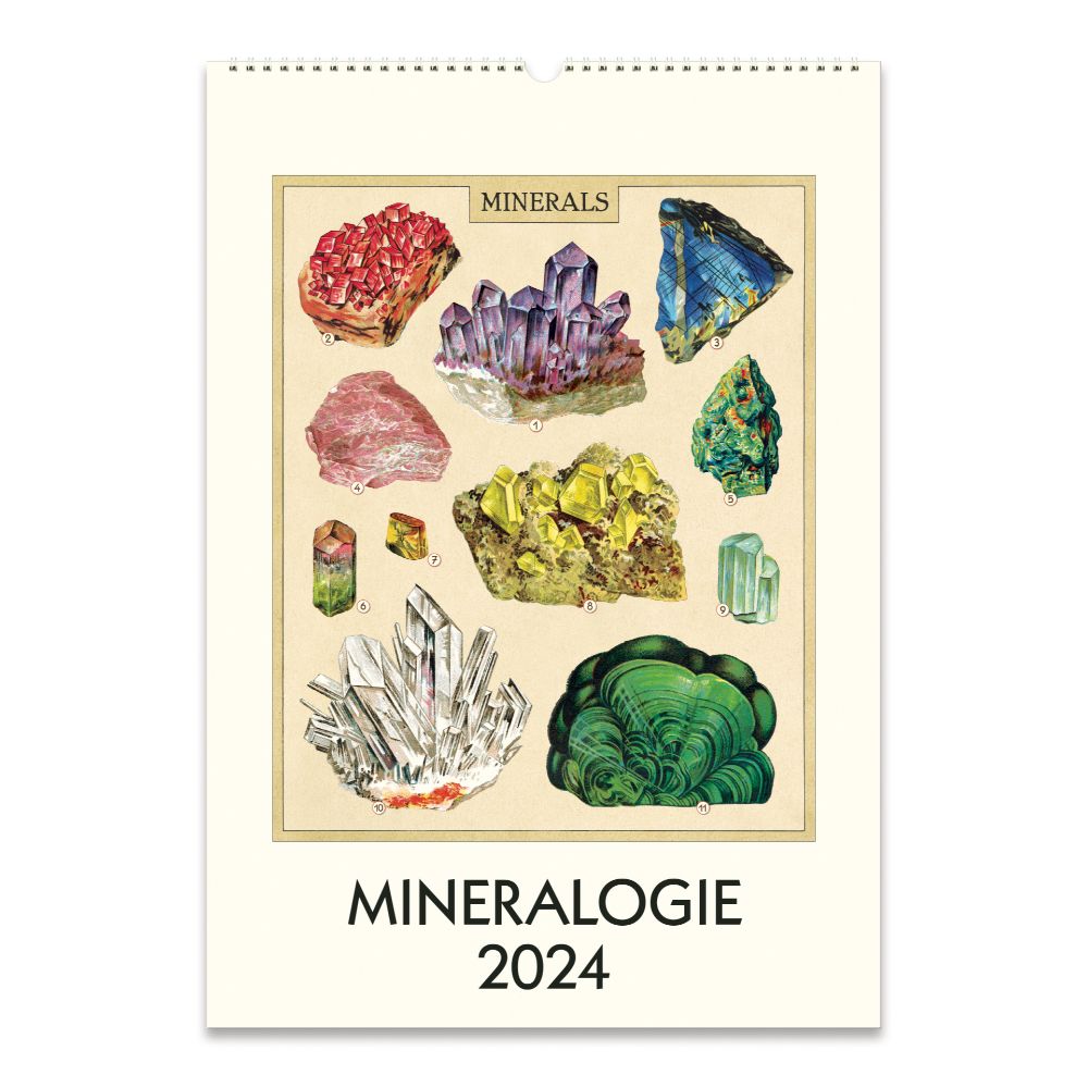 Cavallini 2024 Wall Calendar Mineralogie Bobangles