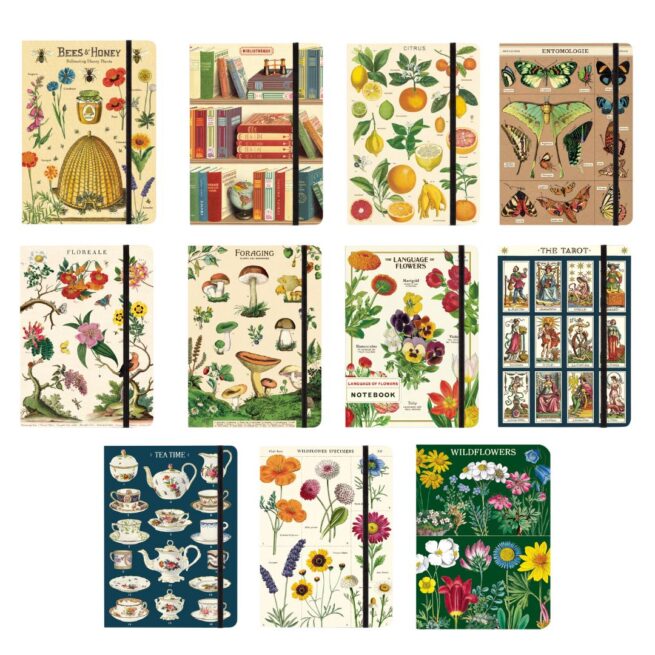 Cavallini Notebook Large Pack - 12 Assorted