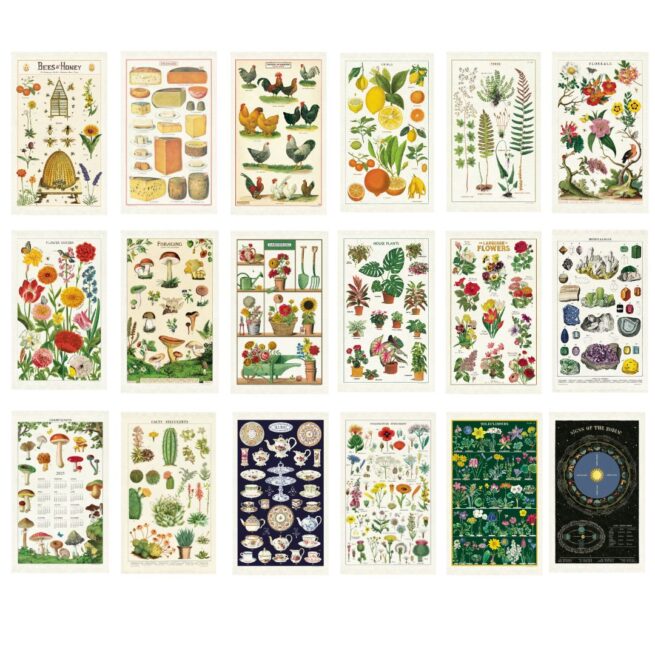 Cavallini Tea Towel Pack - 20 Assorted