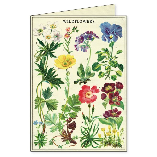 Cavallini Boxed Notecards - Wildflowers - Bobangles