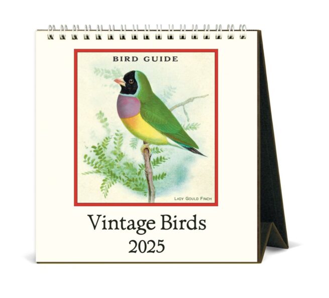 Cavallini 2025 Desk Calendar Vintage Birds Bobangles