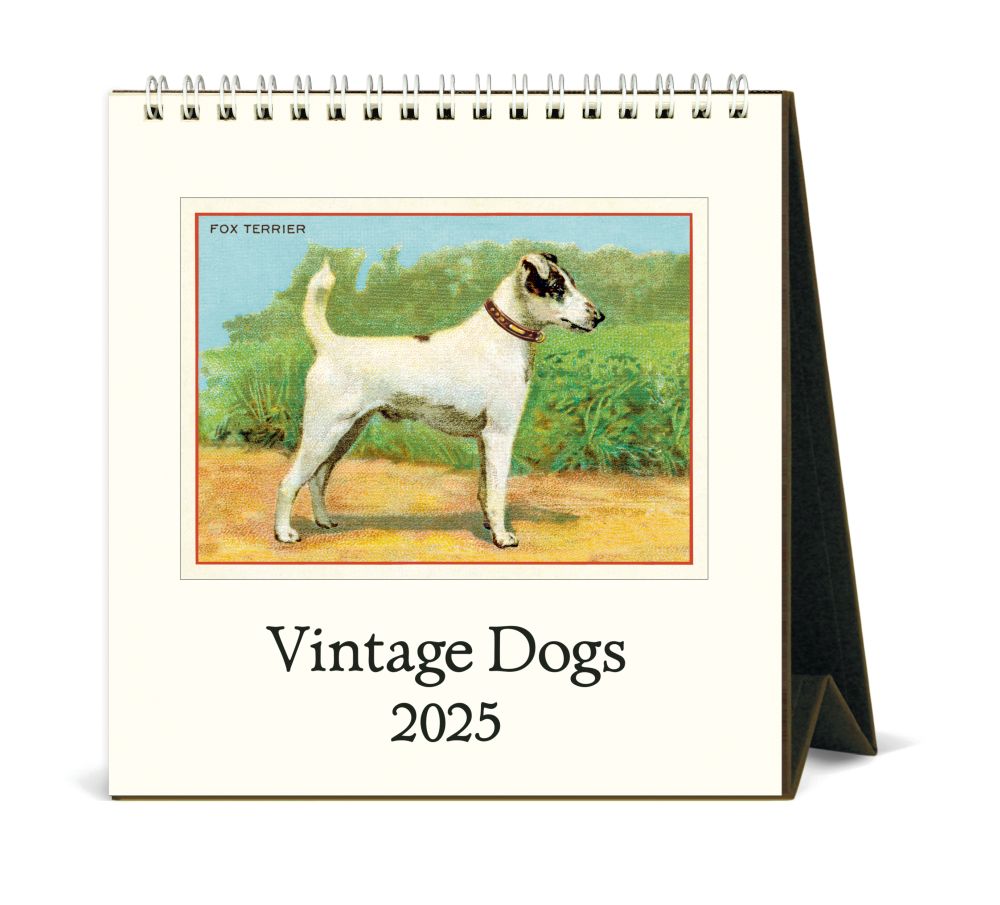 Cavallini 2025 Desk Calendar Vintage Dogs Bobangles