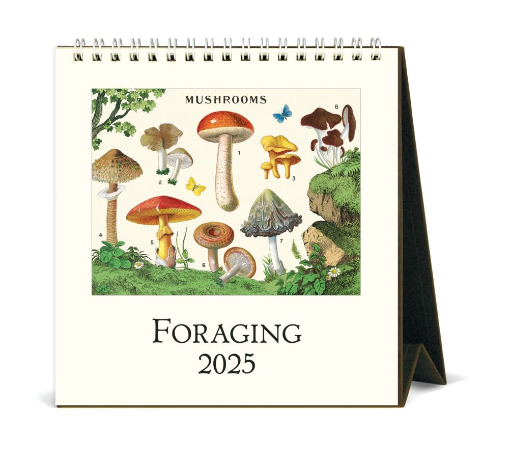 Cavallini 2025 Desk Calendar Foraging Bobangles