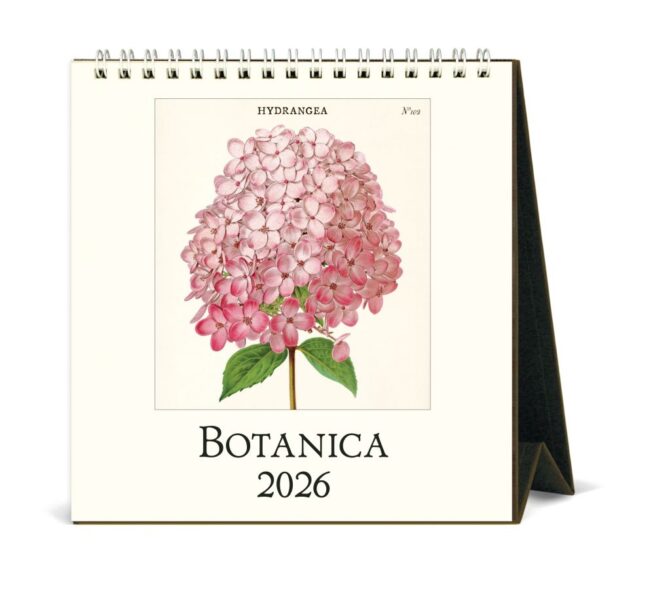 Cavallini 2026 Desk Calendar - Botanica