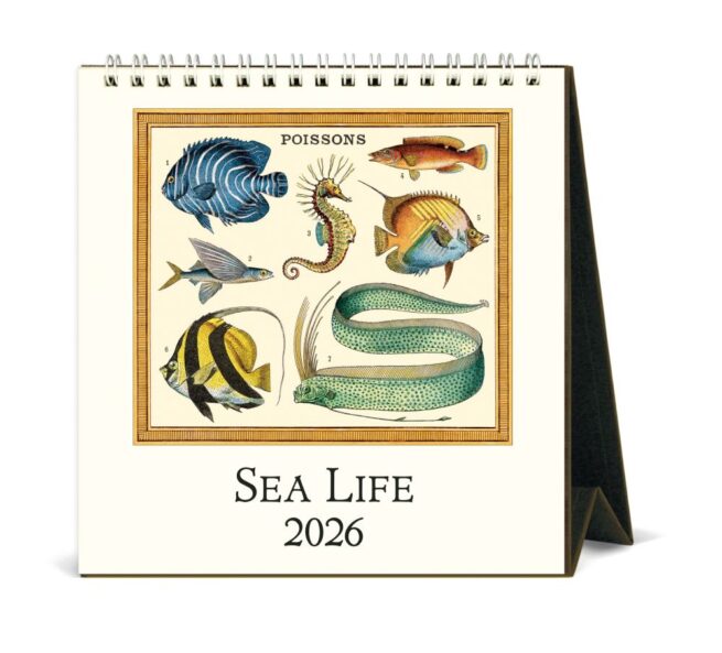 Cavallini 2026 Desk Calendar -  Sea Life