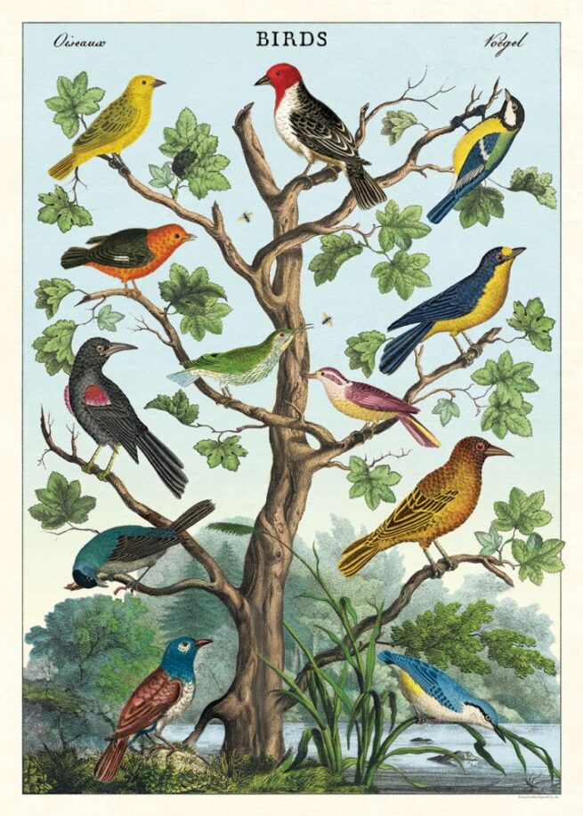 Cavallini Poster/Gift Wrap - Birds in a Tree